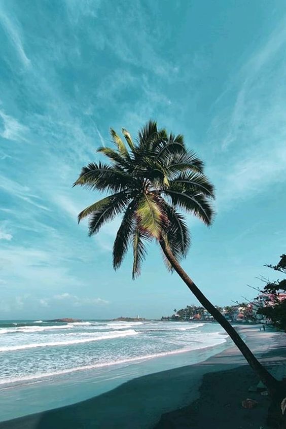Kovalam Beach - top places to visit Kerala