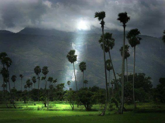 Nelliyampathy Hills Kerala