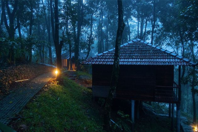 Wayanad Forest Stay