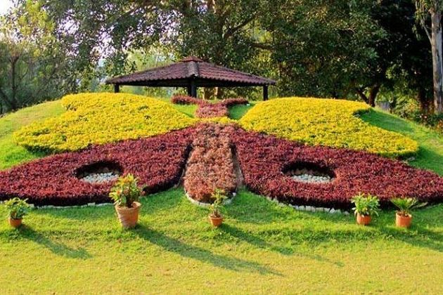 Butterfly Park Chandigarh - Places to visit in Chandigarh