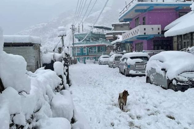 Snowfall in Bomdila, Arunachal Pradesh